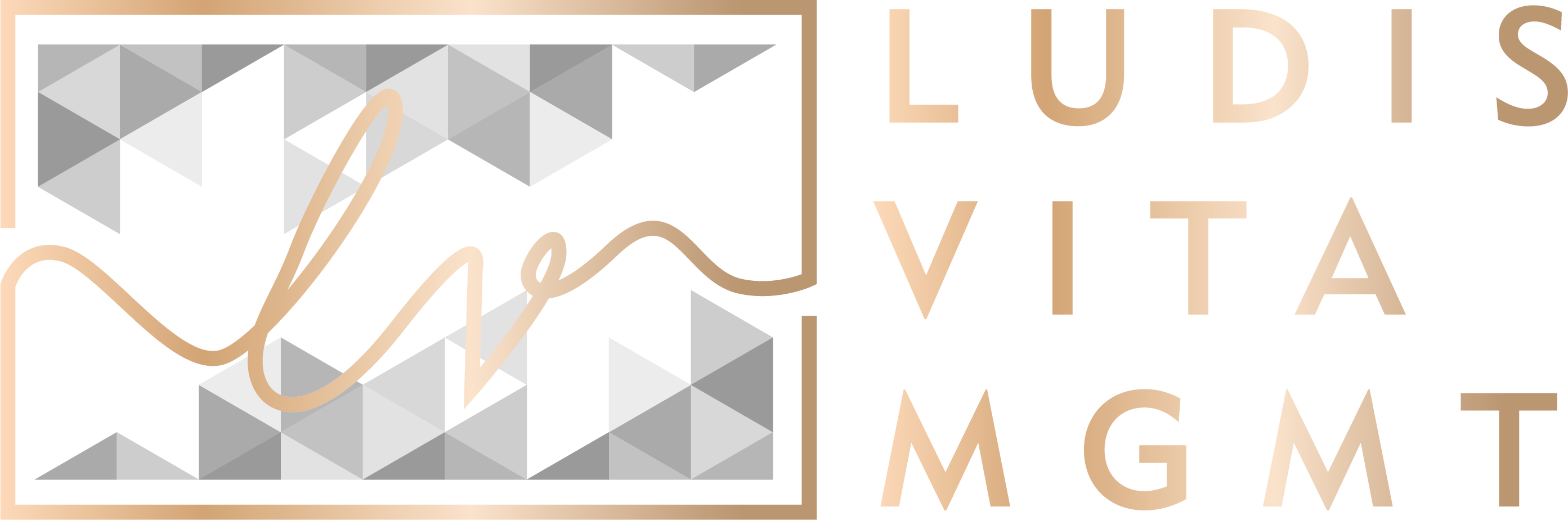 Ludis Vita Mgmt